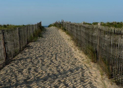 A sandy path leads to the ocean, bordered by wooden fences and grass under a clear blue sky.