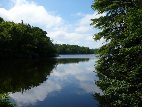 A serene lake surrounded by lush greenery, reflecting clouds and trees on a sunny day.