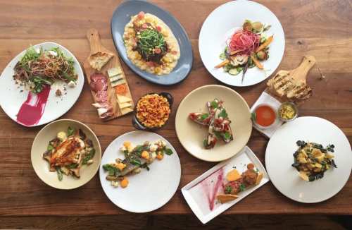 A variety of beautifully plated dishes on a wooden table, featuring salads, pasta, meats, and colorful garnishes.