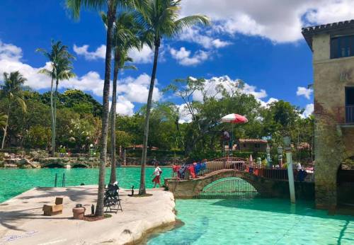 A scenic view of a turquoise lagoon with palm trees, a bridge, and people enjoying the sunny day.