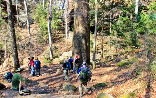 A group of hikers explores a wooded area with tall trees and rocky terrain, surrounded by autumn foliage.