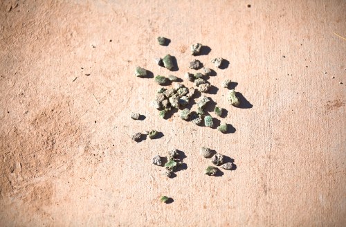 A scattered pile of small, irregularly shaped green and gray rocks on a light brown surface.