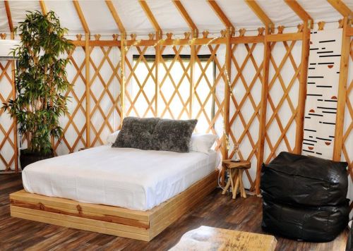 Cozy yurt interior featuring a wooden bed, plush pillows, a bean bag chair, and natural decor.