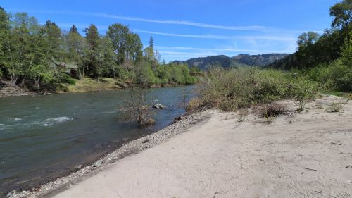 A serene riverbank scene with flowing water, sandy shore, and lush green trees under a clear blue sky.