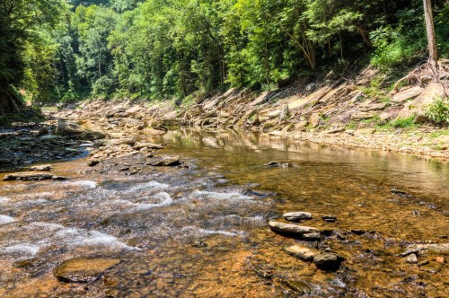 A serene river flows through a lush green forest, with rocky banks and clear water reflecting the trees above.