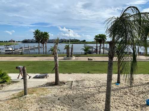 A scenic view of a waterfront with palm trees, a sandy area, and a person playing a game near the water.