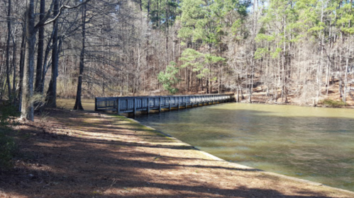 A wooden bridge extends over a calm, greenish pond surrounded by tall trees and a forested area.