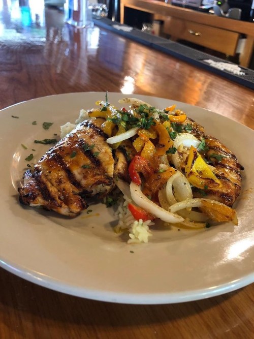 Grilled chicken served on a plate with sautéed vegetables and rice, garnished with herbs.