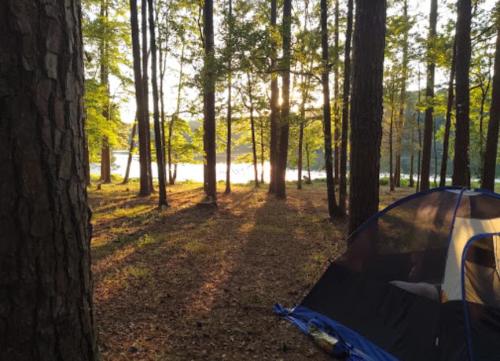 A tent set up in a forest clearing, with sunlight filtering through trees and reflecting on a nearby lake.
