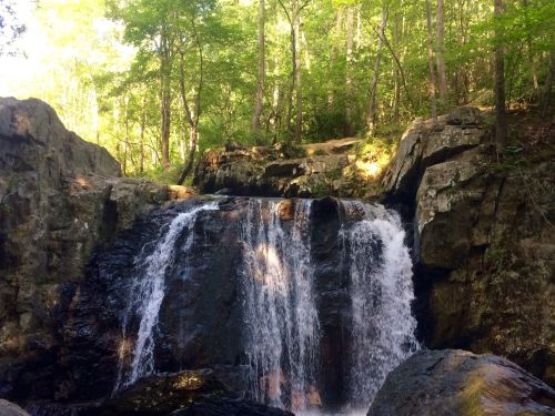 A serene waterfall cascading over rocky cliffs, surrounded by lush green trees in a peaceful forest setting.