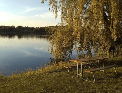 A peaceful lakeside scene with a picnic table under a tree, reflecting calm water and a clear sky.