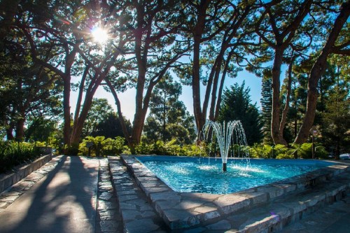 A serene garden scene featuring a fountain in a blue pool, surrounded by lush trees and sunlight filtering through.