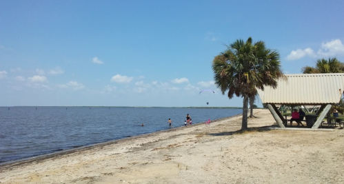 A sandy beach with palm trees, people playing in the water, and a picnic area under a shelter on a sunny day.