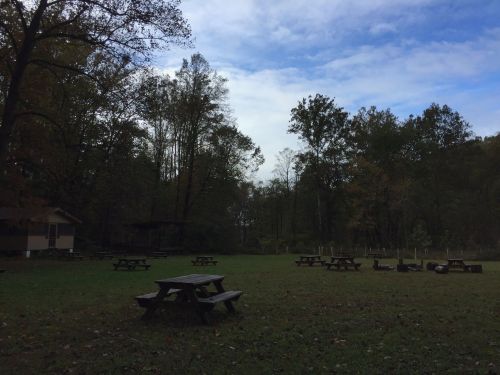 A serene outdoor scene with picnic tables in a grassy area surrounded by trees under a cloudy sky.