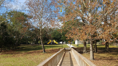 A wooden walkway leads through trees with autumn leaves to a playground with a yellow slide in the background.