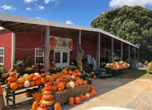 A red barn with pumpkins and hay bales outside, under a blue sky with scattered clouds.