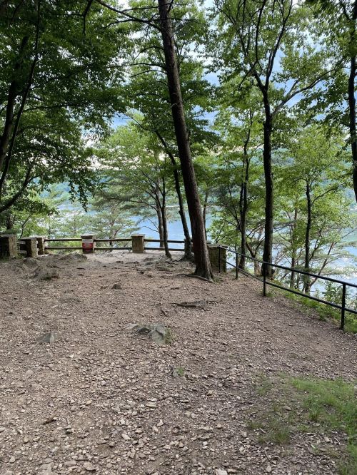 A scenic view of a forested area with trees, rocky ground, and a railing overlooking a body of water in the distance.