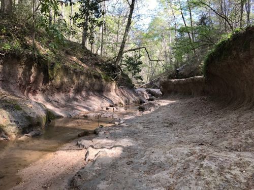 A serene, dry creek bed surrounded by lush greenery and steep, eroded banks under a clear blue sky.