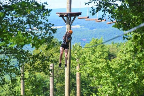 A person in a harness climbs a wooden pole surrounded by trees, with a scenic view in the background.