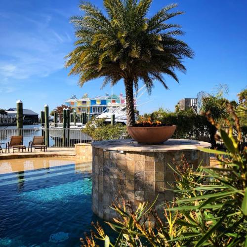 A serene pool area with a palm tree, stone planter, and boats in the background under a clear blue sky.