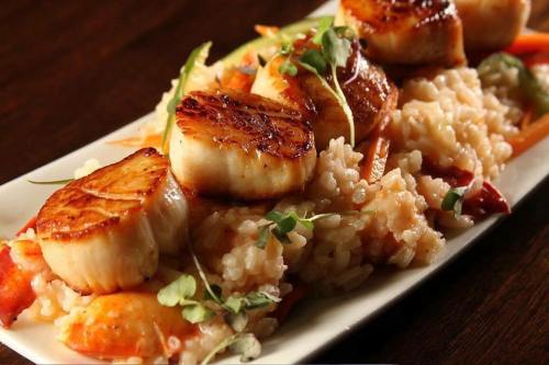 A plate of seared scallops atop creamy risotto, garnished with microgreens and colorful vegetables.