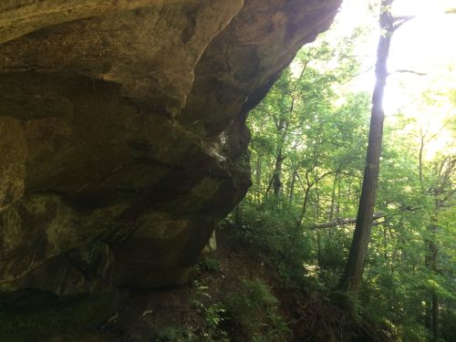A rocky overhang surrounded by lush green trees and sunlight filtering through the foliage.