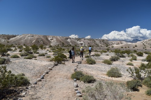 A group of people walking on a rocky path through a desert landscape with sparse vegetation and blue skies.