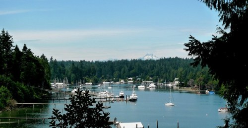 A serene harbor scene with boats docked, surrounded by lush trees and distant mountains under a clear blue sky.