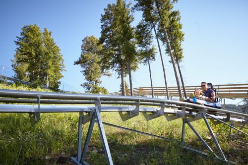 A family enjoys a ride on a mountain coaster, surrounded by trees and a clear blue sky.