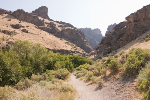 A winding dirt path leads through a rocky canyon surrounded by dry hills and lush green shrubs.