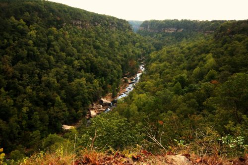 A lush green valley with a winding river flowing through it, surrounded by steep cliffs and dense trees.