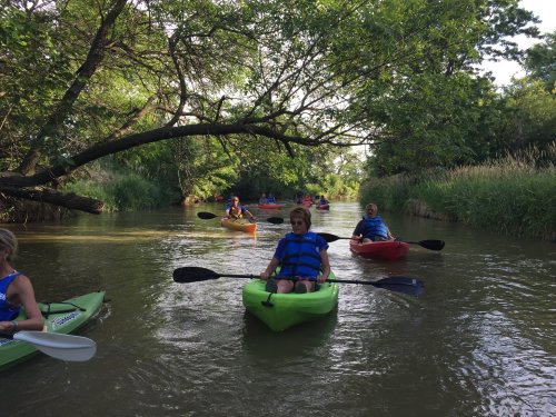 A group of people kayaking on a calm river surrounded by lush greenery and trees.