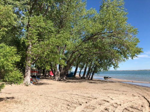 A sandy beach lined with trees, overlooking a calm lake under a clear blue sky.
