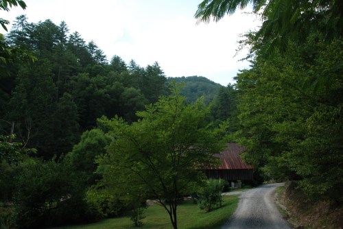A gravel road winds through lush greenery, leading to a rustic barn surrounded by trees and mountains in the background.