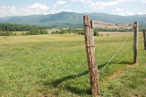 A wooden fence post in a grassy field with mountains and a blue sky in the background.