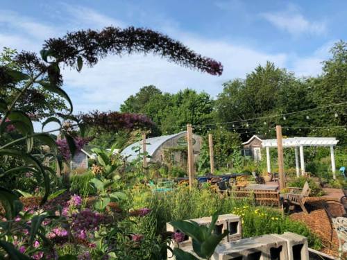 A vibrant garden with flowers, seating areas, and a greenhouse under a blue sky, surrounded by lush greenery.