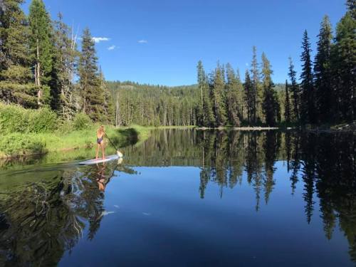 A person paddleboarding on a calm lake surrounded by tall trees and blue skies, reflecting in the water.