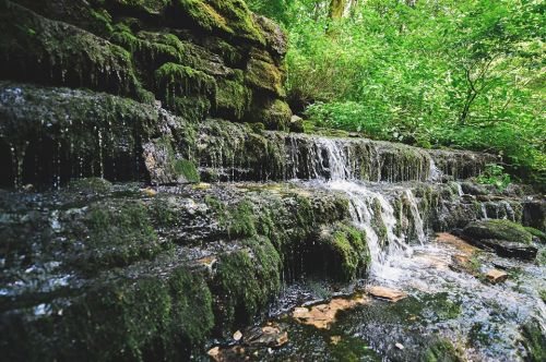 A serene waterfall cascading over moss-covered rocks in a lush green forest.