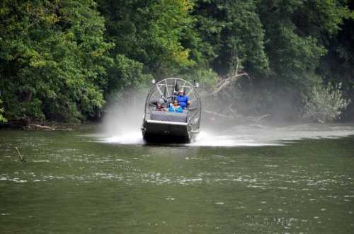 An airboat speeds across a river, creating a spray of water, surrounded by lush green trees.