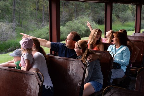 A group of people on a train, pointing and enjoying the view outside in a natural setting.