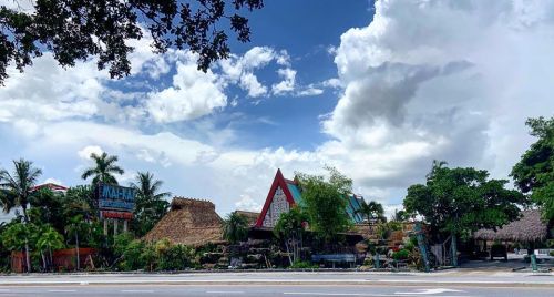 Tropical landscape featuring unique architecture, palm trees, and a blue sky with clouds.