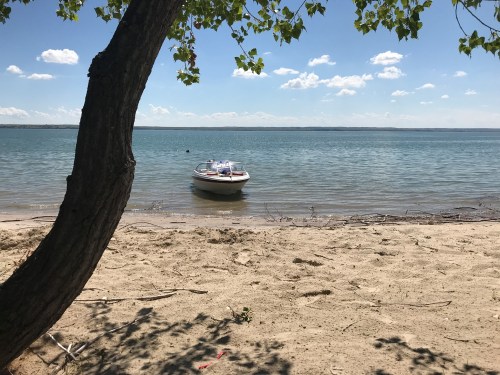 A small boat anchored in calm water near a sandy beach, framed by a tree and a clear blue sky with fluffy clouds.