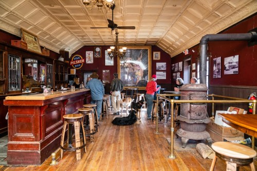 A cozy bar interior with wooden stools, patrons, and dogs lounging on the floor, featuring vintage decor and a warm atmosphere.