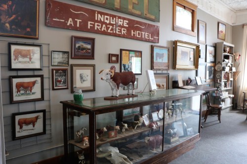 A display featuring framed cow artwork, a glass case with cow figurines, and a vintage Frazier Hotel sign on the wall.