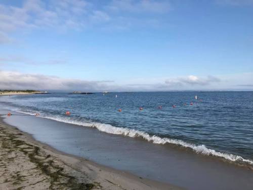 A serene beach scene with gentle waves, a clear sky, and orange buoys marking a swimming area in the water.