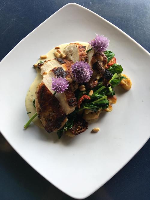 Grilled chicken breast on a bed of spinach, topped with pine nuts and purple flowers, served with a creamy sauce.