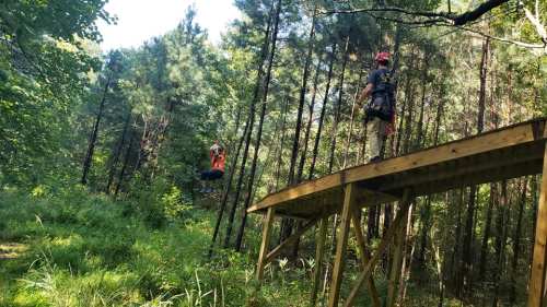 A person zip-lining from a wooden platform in a forested area, with trees and greenery surrounding them.