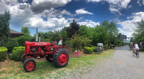 A red vintage tractor sits beside a gravel path, with lush greenery and people biking in a scenic outdoor setting.