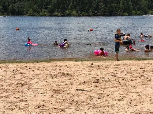 A sandy beach with children playing in the water and floating on inflatable toys, surrounded by trees.