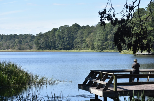 A person fishing from a wooden dock by a calm lake surrounded by trees and greenery under a clear blue sky.